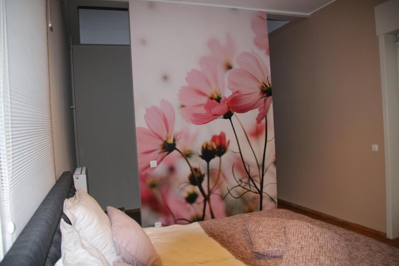 B&B Het Doctershoes Kinrooi Zewnętrze zdjęcie